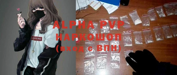 стафф Алексин