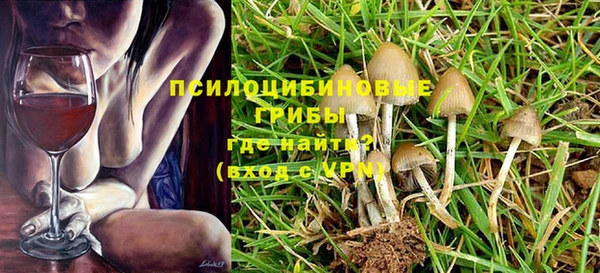 ГАЛЛЮЦИНОГЕННЫЕ ГРИБЫ Абдулино