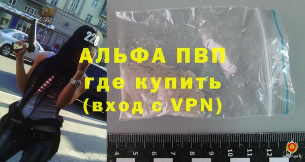 стафф Алексин
