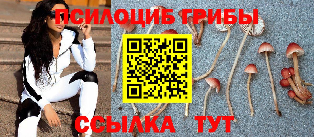 Псилоцибиновые грибы GOLDEN TEACHER  Галлюциногенные грибы Magic Shrooms  Учалы  Вход с VPN 